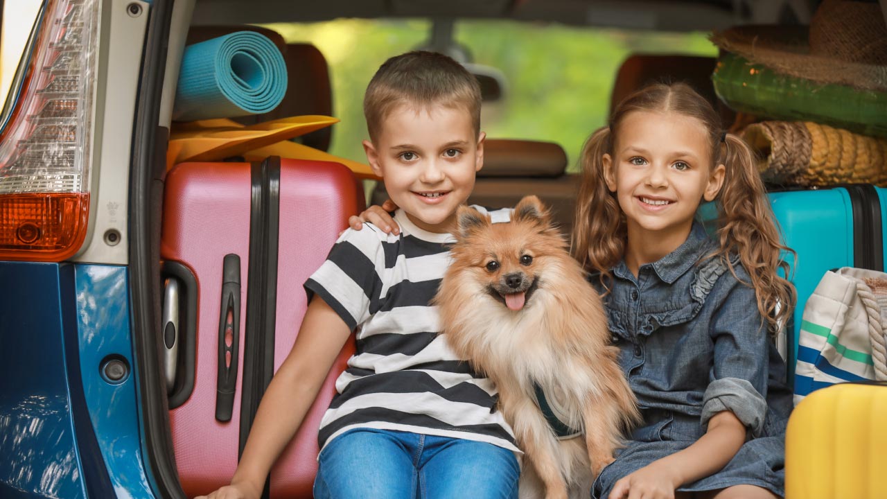 Two children and a dog, sitting in the back of a packed car